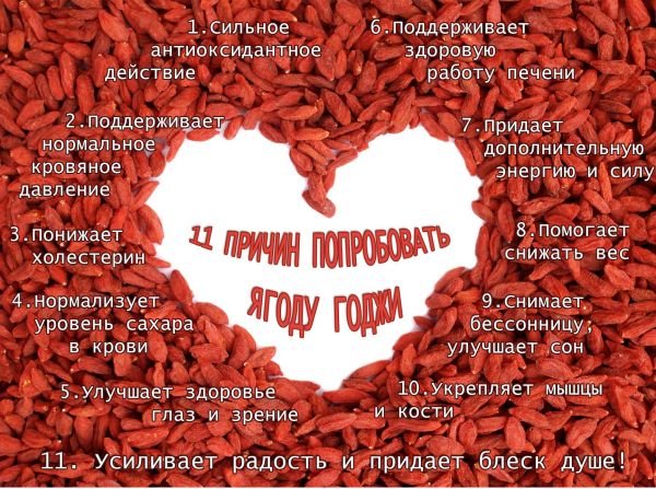польза от ягод годжи для здоровья